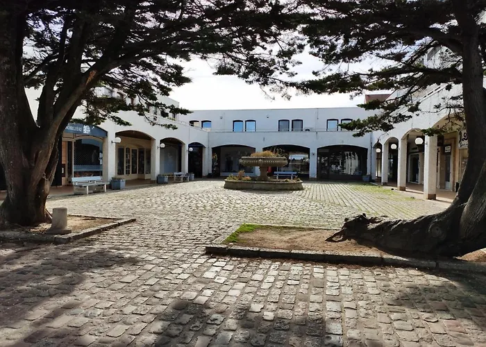 Hardelot Plein Sud A 100 M De La * Neufchâtel-Hardelot